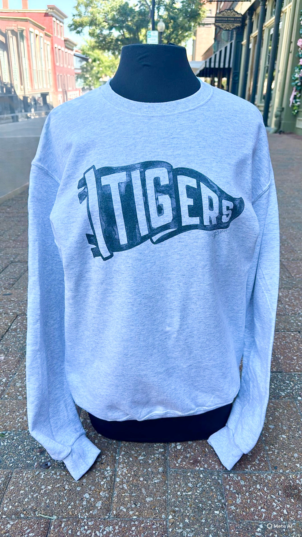 TIGERS Watercolor Crewneck