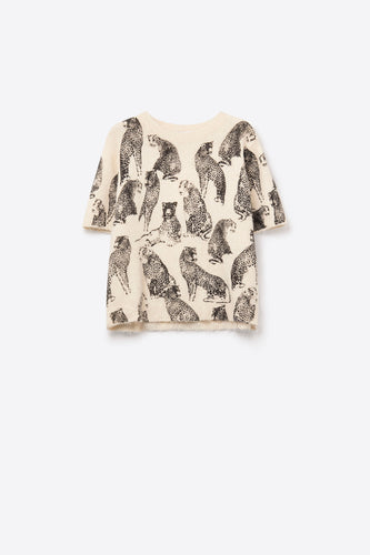 Wild Cheetah Knit Top
