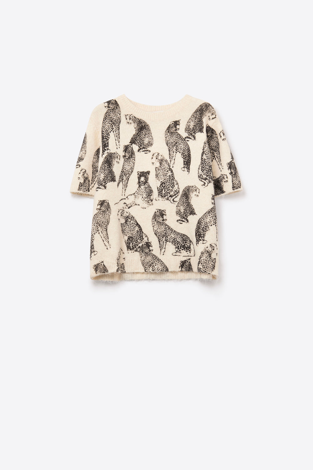 Wild Cheetah Knit Top