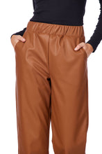 Ballard Faux Leather Pant (More Colors)